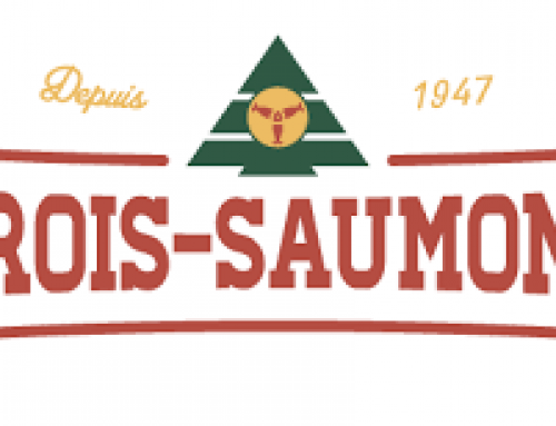 Camp Trois-Saumons – MTY